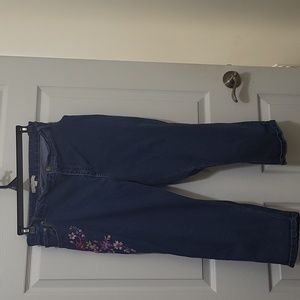 Woman Within, 28wp, medium stonewash